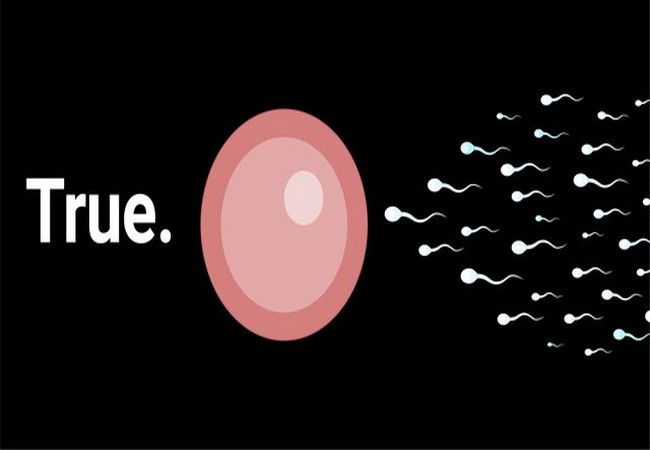 Ảnh Business Insider