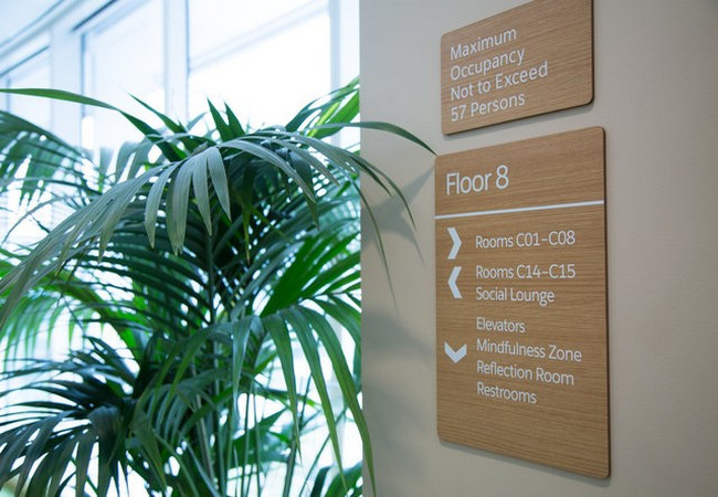 Ảnh Business Insider