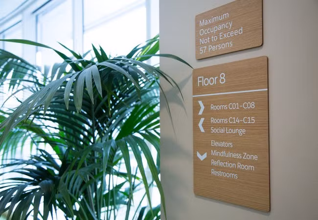 Ảnh Business Insider