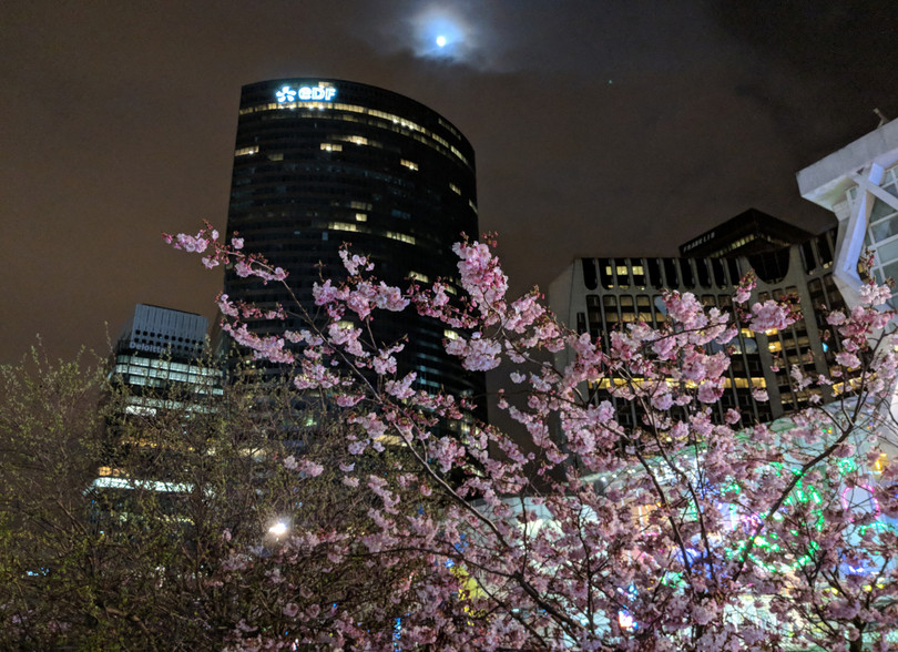 Test camera Huawei P20 Pro và Pixel 2 XL: kết quả bất ngờ ngoài dự đoán! ảnh 2