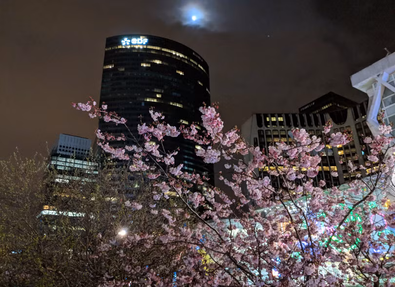 Test camera Huawei P20 Pro và Pixel 2 XL: kết quả bất ngờ ngoài dự đoán! ảnh 2