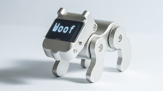 Các nhà khoa học đang dạy AI theo cách nghĩ của loài chó ảnh 2