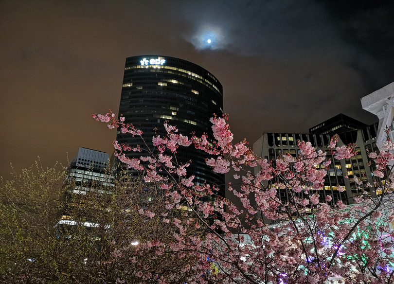 Test camera Huawei P20 Pro và Pixel 2 XL: kết quả bất ngờ ngoài dự đoán! ảnh 1