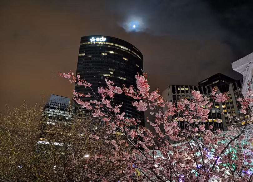 Test camera Huawei P20 Pro và Pixel 2 XL: kết quả bất ngờ ngoài dự đoán! ảnh 1