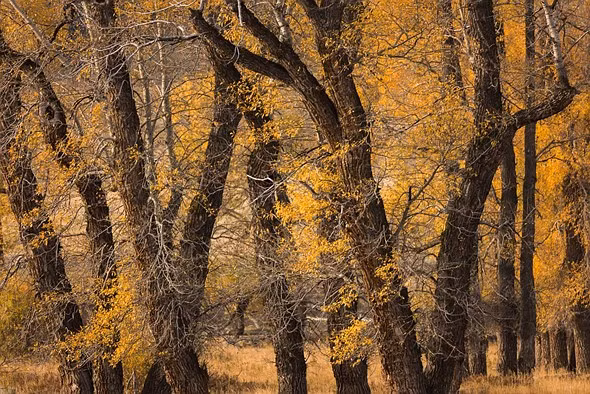 Nước Mỹ qua những bức ảnh từ USA Landscape Photographer 2016 ảnh 10