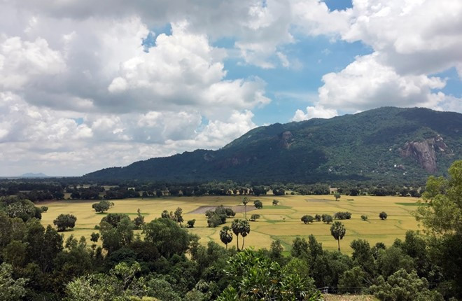 Ảnh chụp từ camera của Galaxy J7 Prime cho màu sắc đậm nét và tương phản rõ giữa các tông màu.