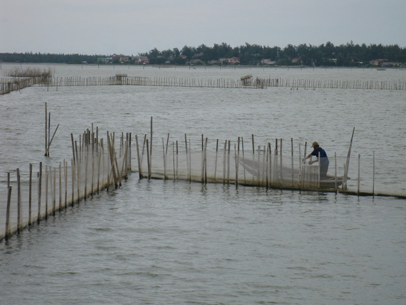 Đầm phá tại Huế bị thiệt hại sau sự cố Formosa.