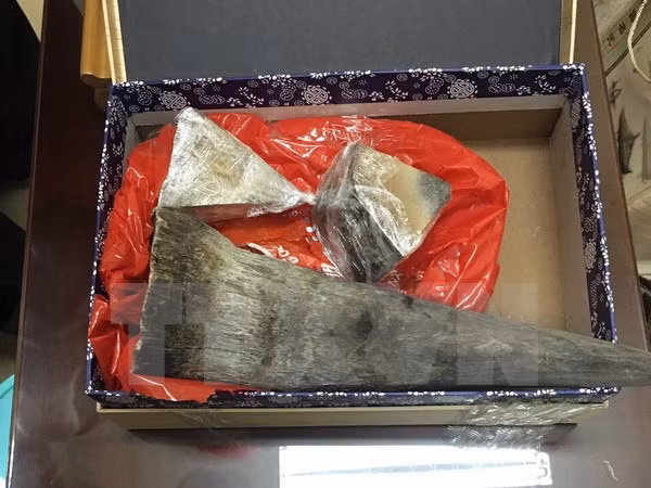 Tang vật bị bắt giữ tại sân bay Tân Sơn Nhất. (Ảnh: TTXVN phát)