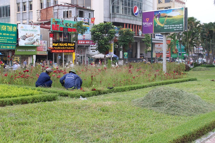 Các tuyến đường cỏ dại, cây hoa tốt ngập đầu người.