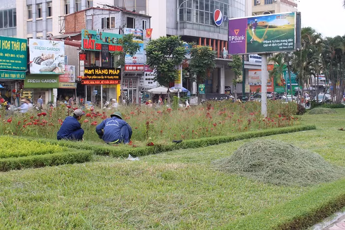 Các tuyến đường cỏ dại, cây hoa tốt ngập đầu người.
