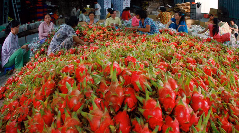 Ảnh minh họa. Nguồn Internet