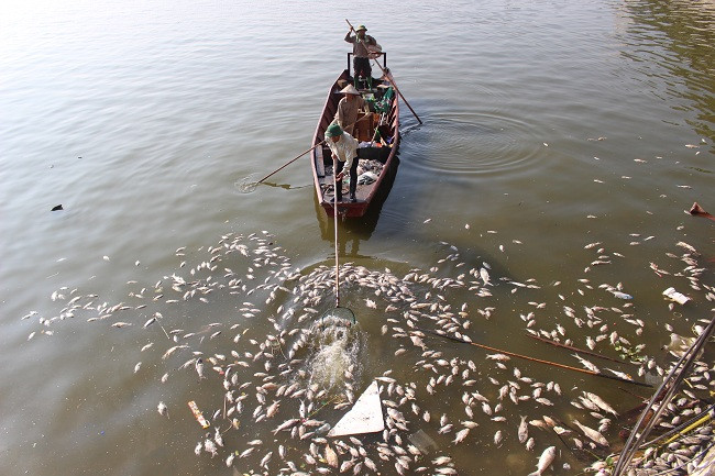 Tuy nhiên, cô Tuyết cũng ho biết thêm: 