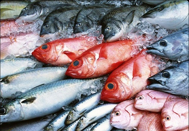 Chính phủ hỗ trợ giải quyết ngay lượng hàng hải sản tồn kho- (Ảnh minh họa).