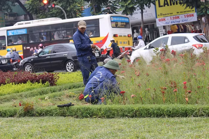 Cỏ dại và cây hoa không được cắt khiến thẩm mỹ trên các tuyến đường bị ảnh hưởng.