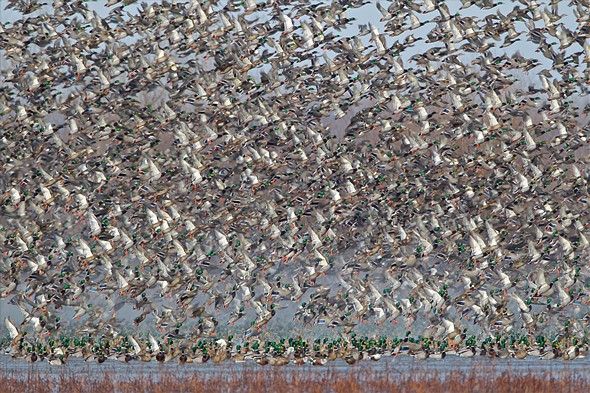 Nước Mỹ qua những bức ảnh từ USA Landscape Photographer 2016 ảnh 4