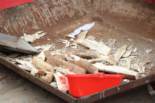 Chiều nay, chính thức tiêu huỷ 2 tấn ngà voi tại Sóc Sơn-Hà Nội ảnh 6