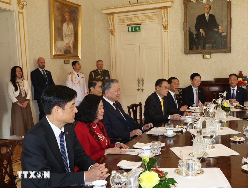 ttxvn-tong-bi-thu-chu-tich-nuoc-to-lam-hoi-dam-voi-tong-thong-ireland-michael-d-higgins-3-2182-3458.jpg