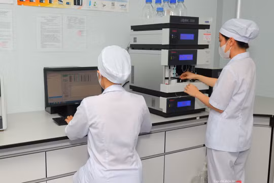 Các doanh nghiệp áp dụng các tiêu chuẩn chất lượng sẽ được coi trọng