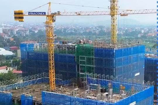 Hiện trạng dự án nhà ở thu nhập thấp của Thép Việt Đức - Vinaconex