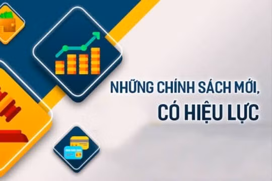 Các bị cáo tại phiên tòa. Ảnh: P.A.