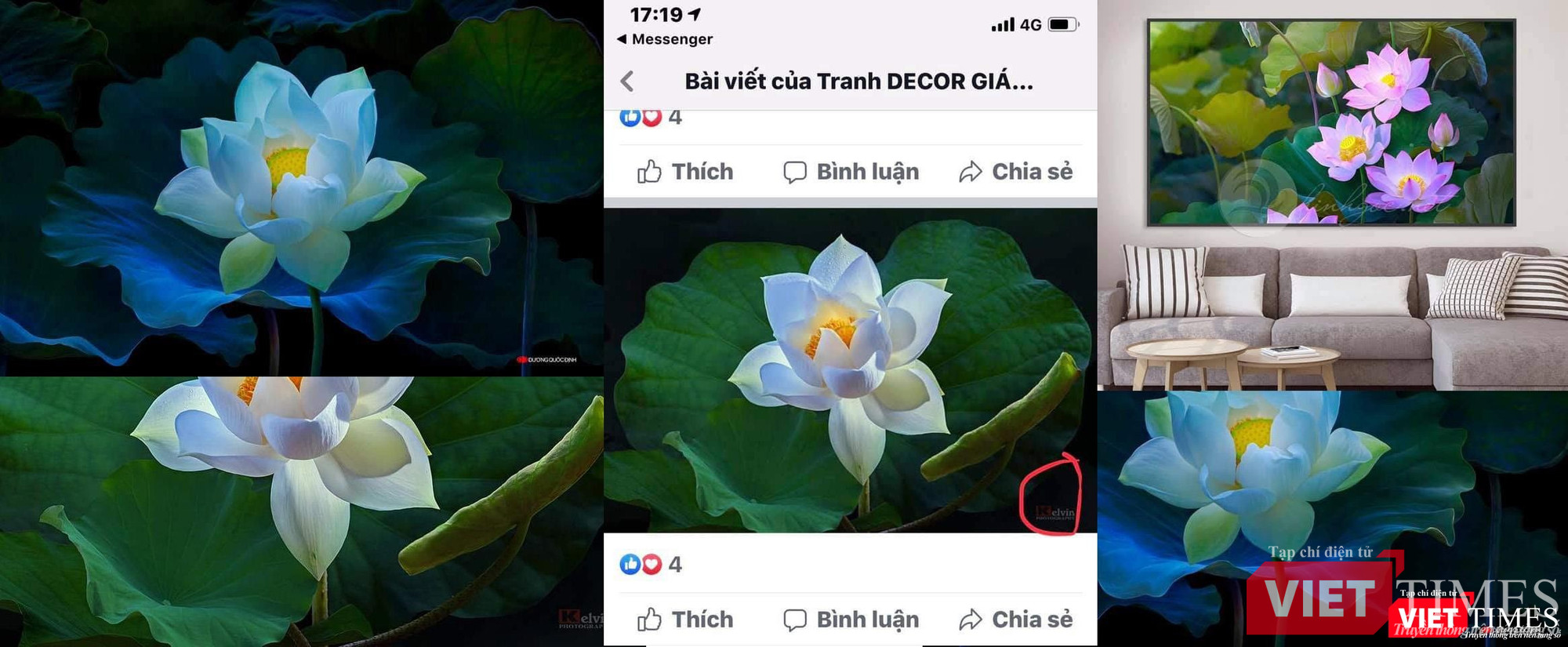 Tác phẩm gốc của Dương Quốc Định bị vi phạm tại Tranh Décor (số 55 đường 12, La Phù, Hoài Đức) Tác phẩm gốc của Dương Quốc Định bị vi phạm tại Tranh Décor (số 55 đường 12, La Phù, Hoài Đức)