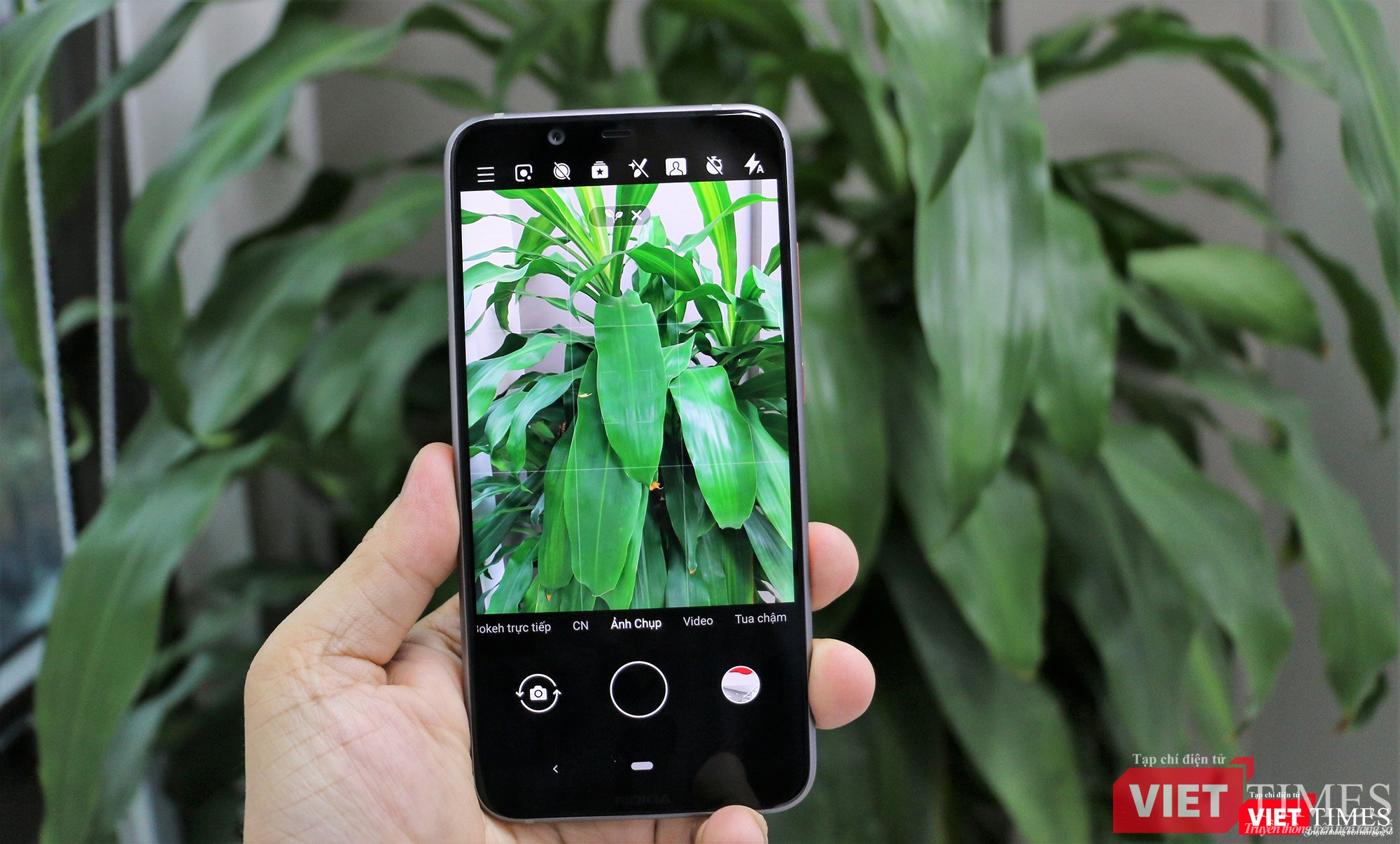 AI của máy nhận diện đối tượng chụp là cây cối với biểu tượng cái cây trên màn hình chụp