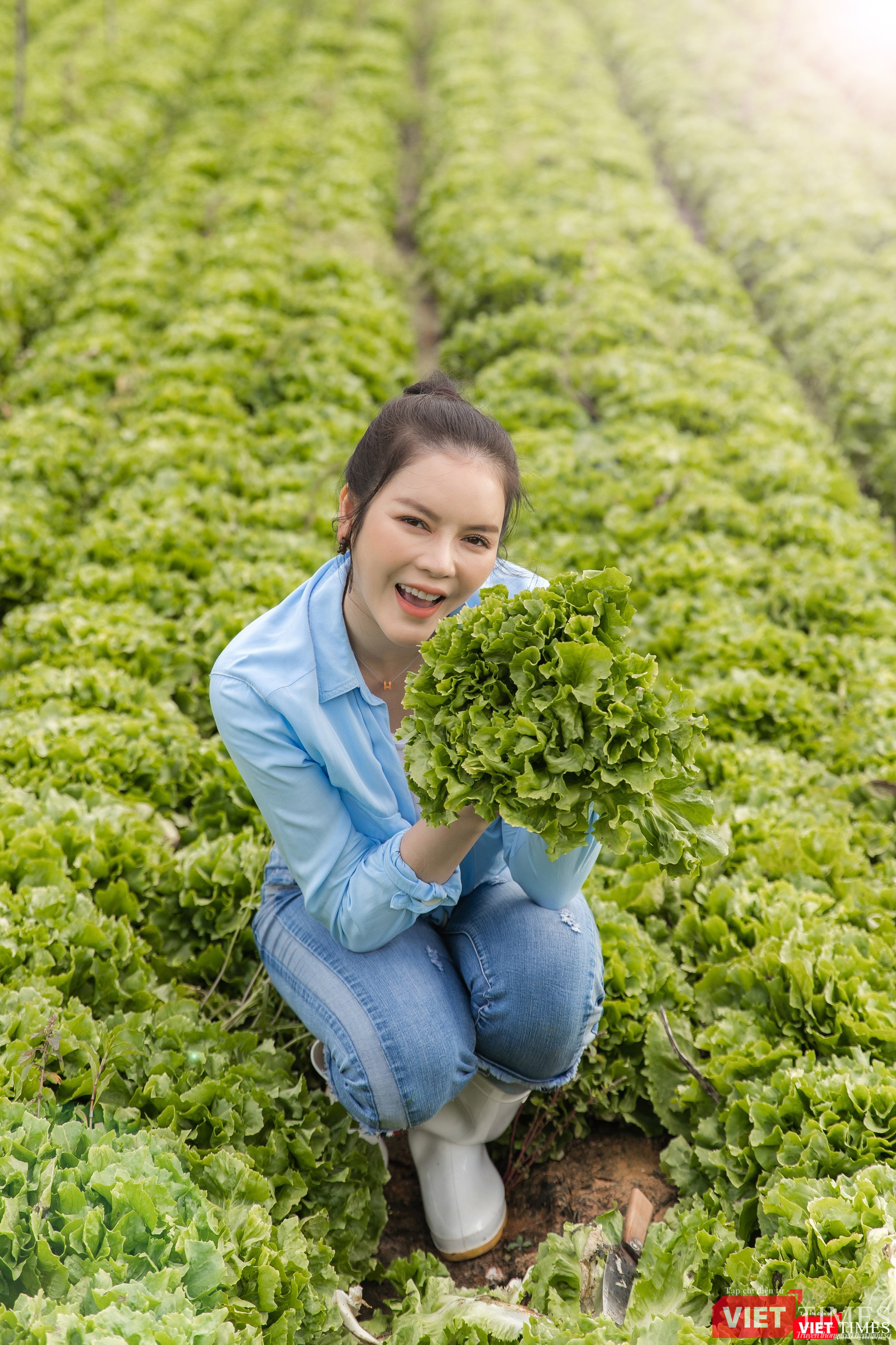 Thu hoạch rau sạch trong khu vườn xanh ngút mắt 