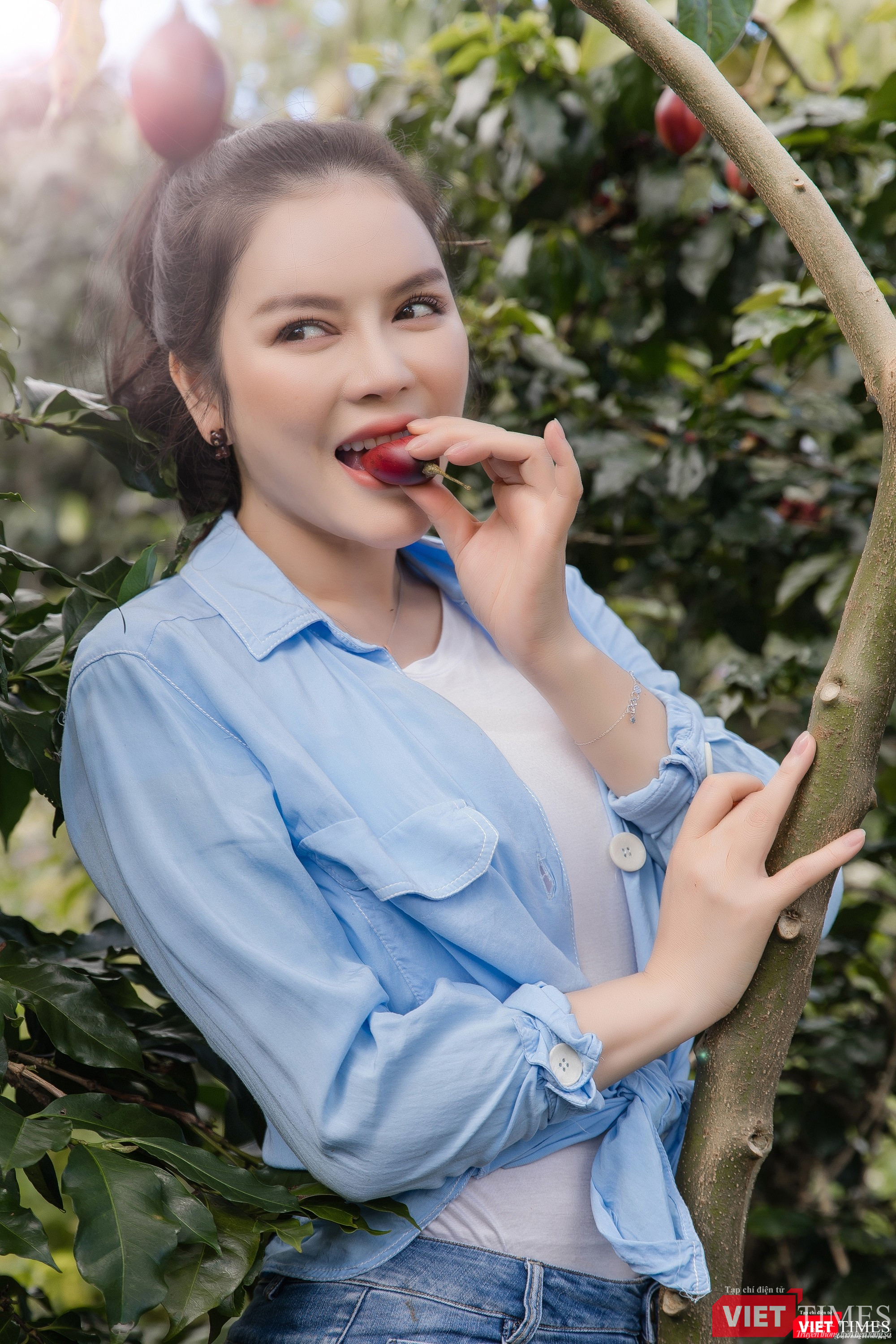 Thoải mái tận hưởng vị ngọt của trái cà chua thân gỗ 