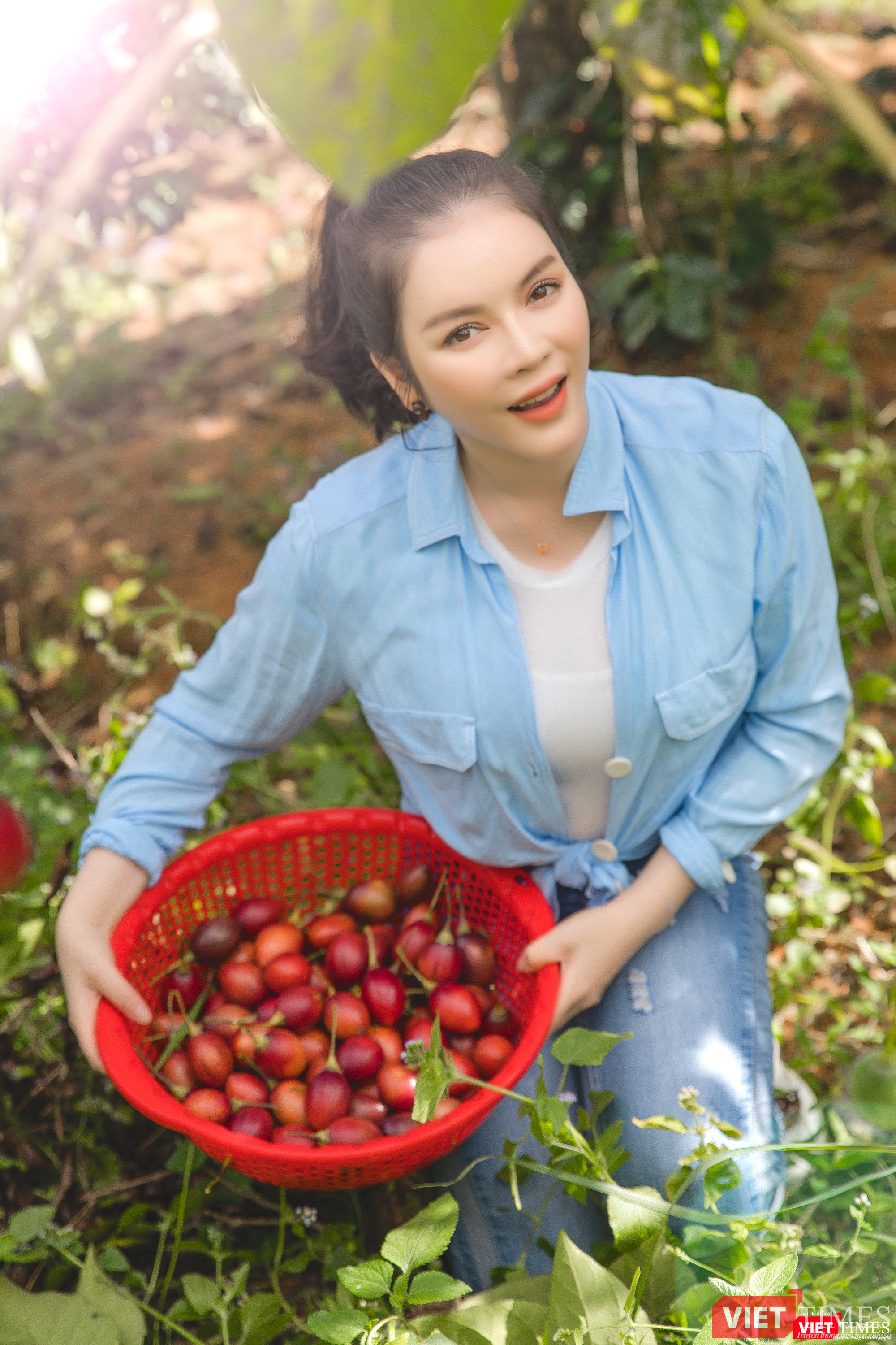 Người đẹp thu hoạch được cả rổ cà chua thân gỗ