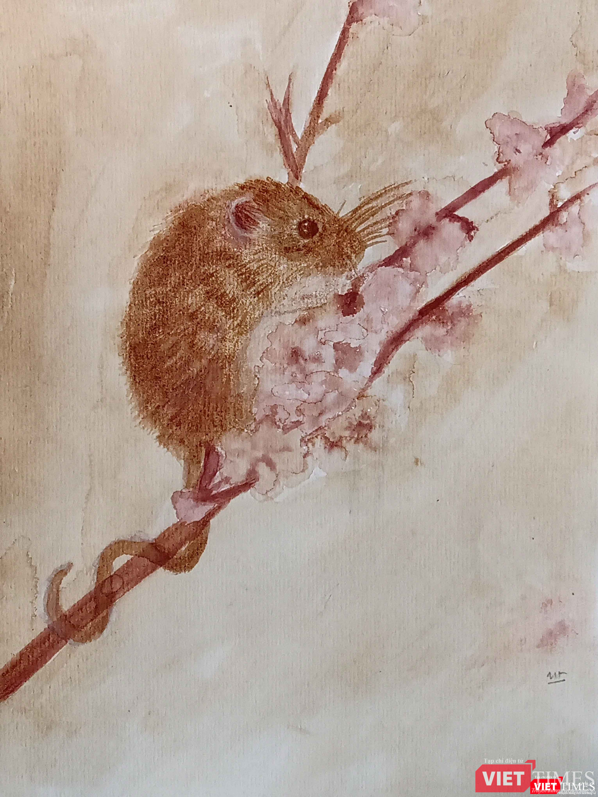 Những chú chuột đón Tết Canh Tý thật rực rỡ với màu thiên nhiên 