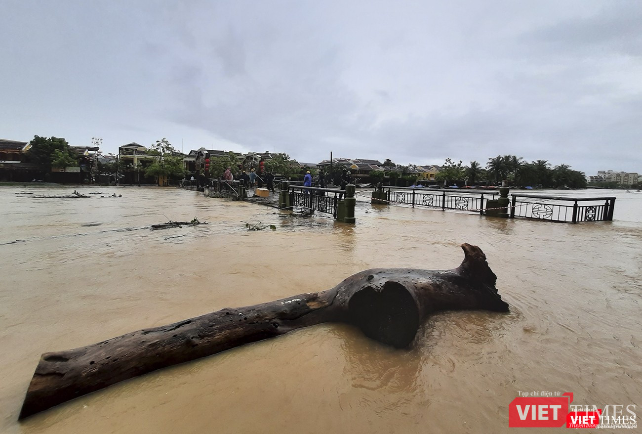 Một khúc gỗ lớn trôi chắn tại cầu An Hội