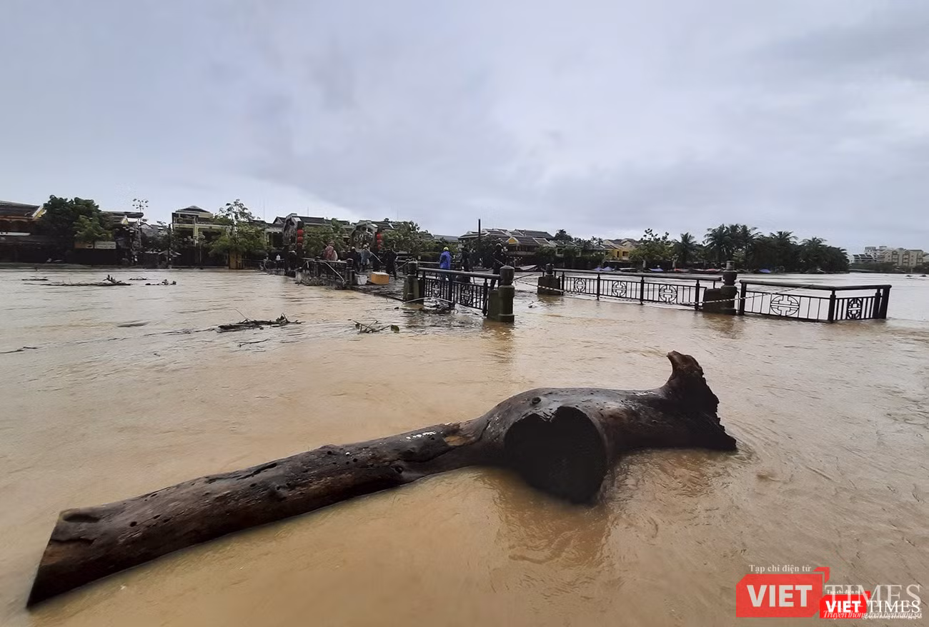 Một khúc gỗ lớn trôi chắn tại cầu An Hội Một khúc gỗ lớn trôi chắn tại cầu An Hội