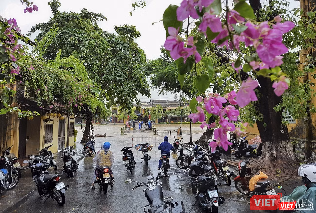 Đường dẫn lên cầu An Hội được phong tỏa khi nước lũ dâng ngập Đường dẫn lên cầu An Hội được phong tỏa khi nước lũ dâng ngập