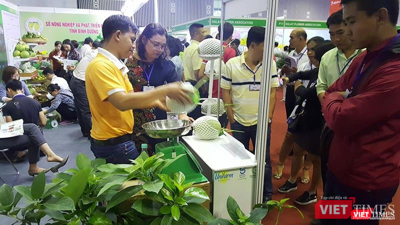 Unifarm là một trong những trang trại đầu tiên thành công với Dưa lưới Unifarm là một trong những trang trại đầu tiên thành công với Dưa lưới