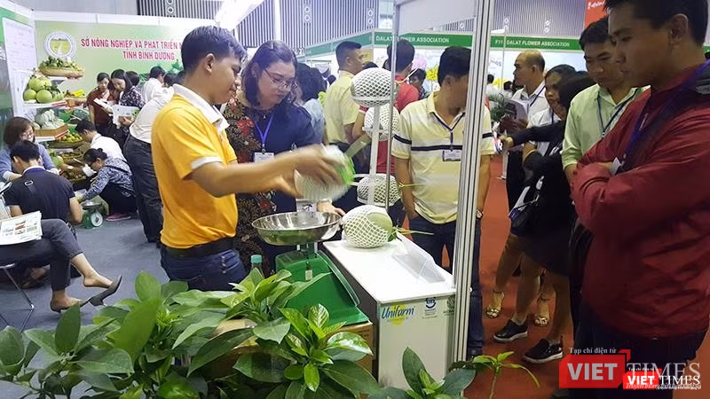 Unifarm là một trong những trang trại đầu tiên thành công với Dưa lưới