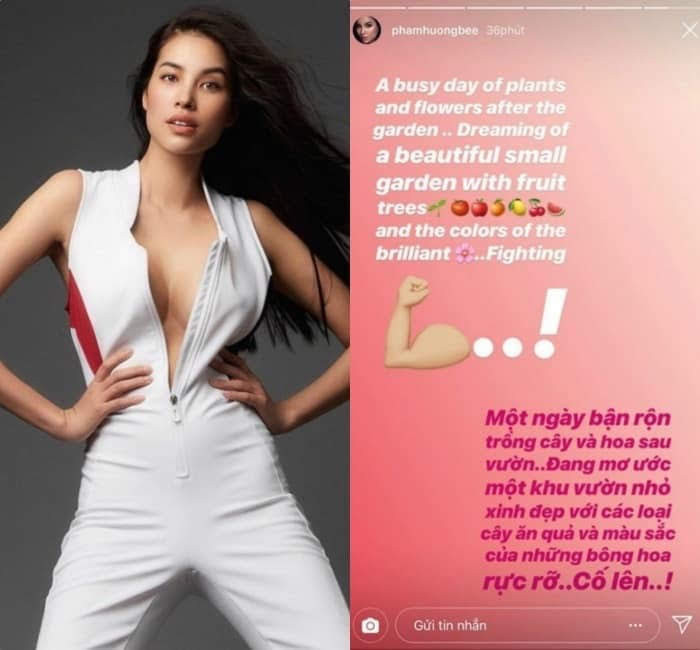 Status được cho là đã đưa lên mạng xã hội bởi tài khoản của Hoa hậu Phạm Hương