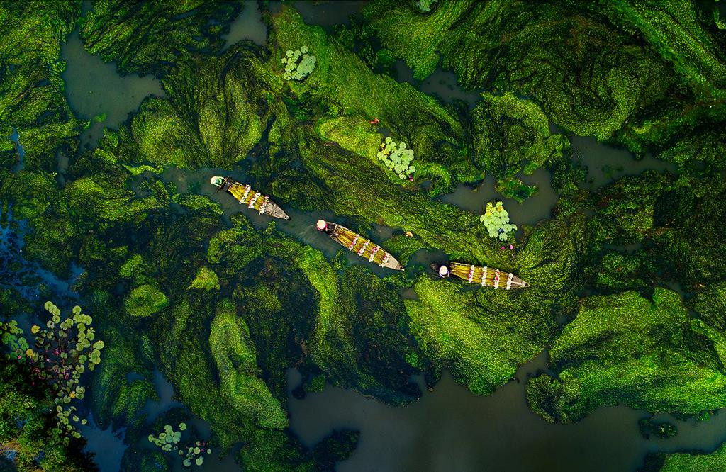 "Mùa nước nổi Miền Tây" - Mai Thành Chương - Quảng Nam