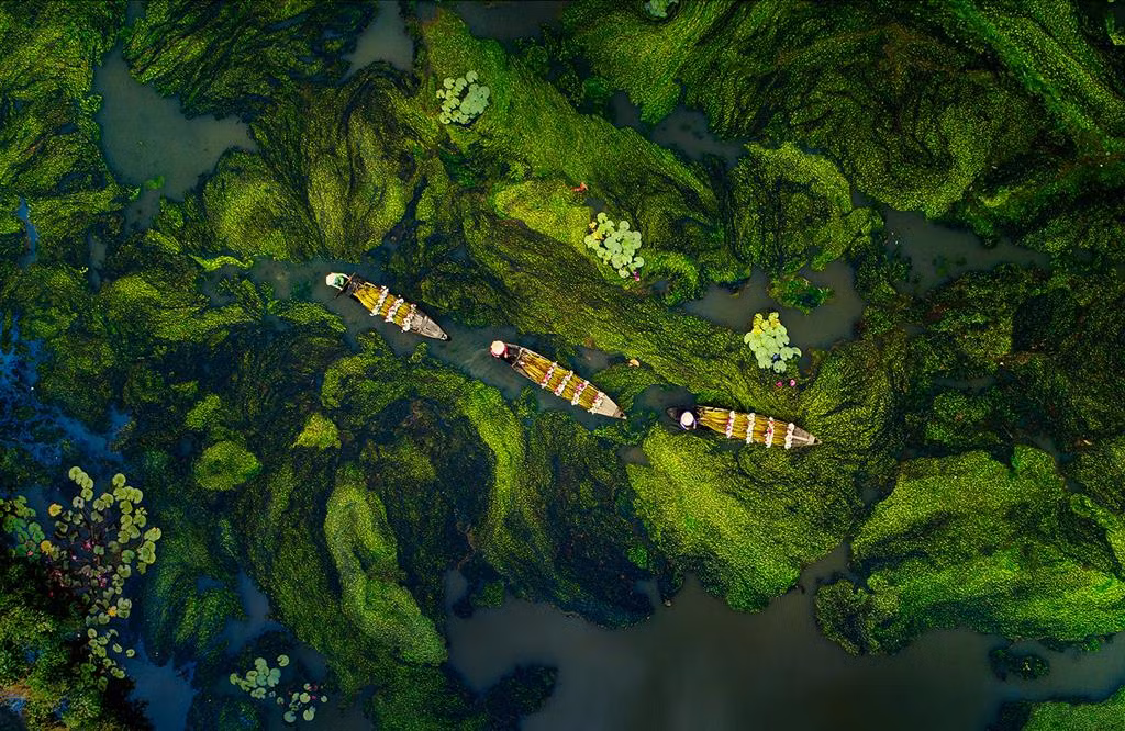 "Mùa nước nổi Miền Tây" - Mai Thành Chương - Quảng Nam