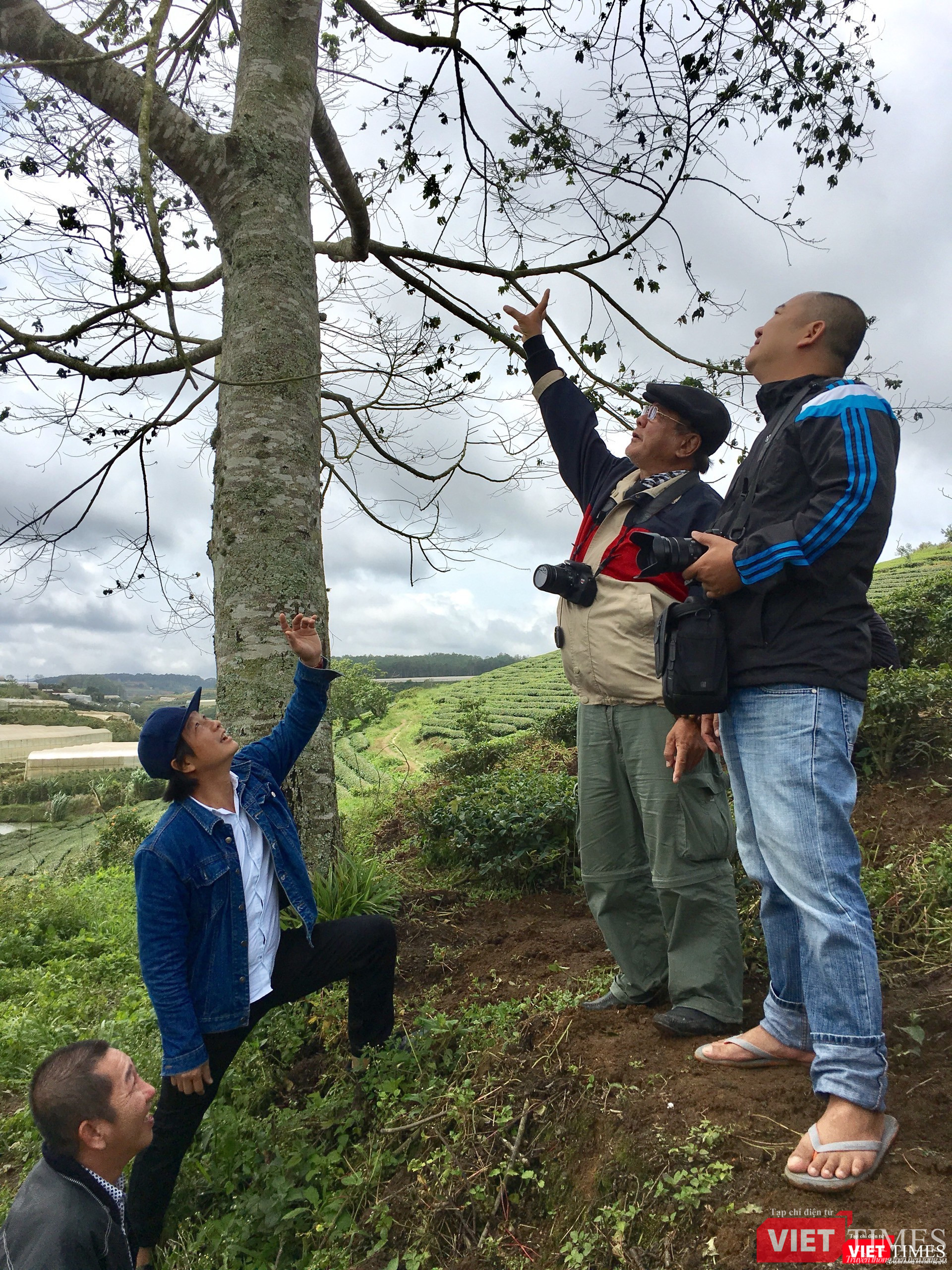 Cảnh phim Kiều@ mới được bật mí khá ít ỏi 