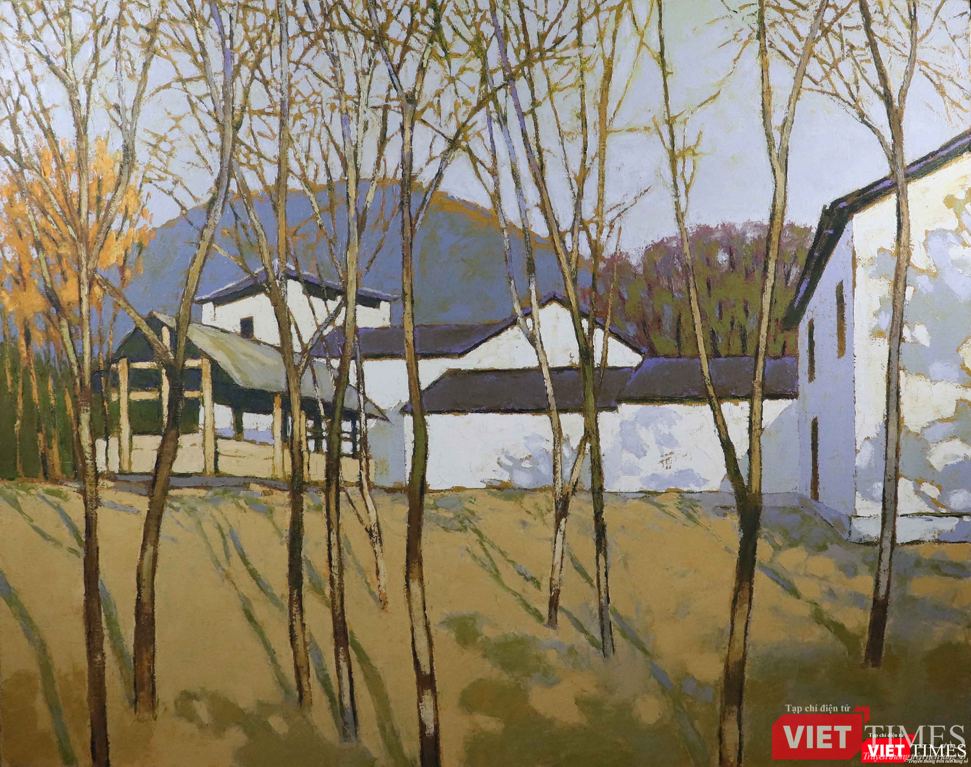 Hàng cây trong nắng, sơn dầu, 120 x 150 cm, 2016, Đặng Tiến Hàng cây trong nắng, sơn dầu, 120 x 150 cm, 2016, Đặng Tiến