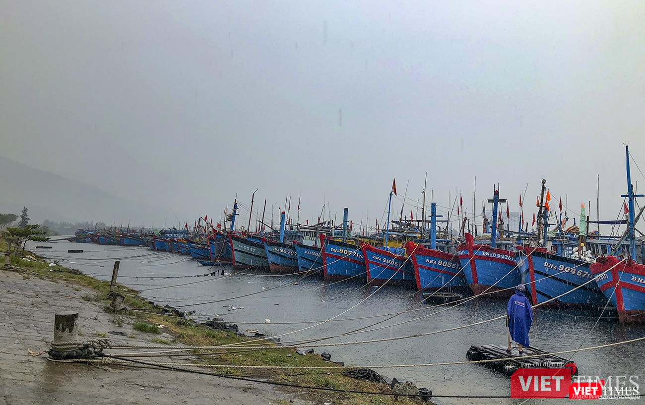 Tàu thuyên được neo đậu cẩn thận