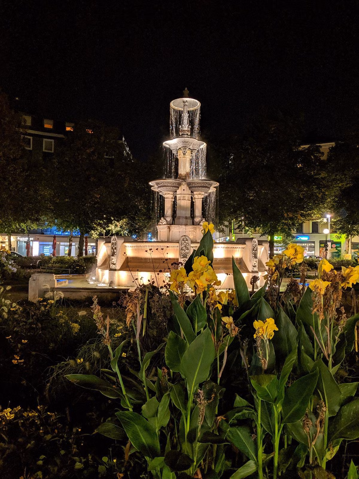 Pixel 3 chụp với Night Mode