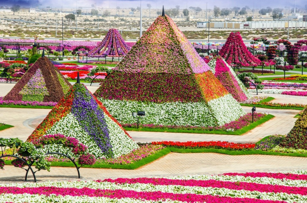 Dubai Miracle Garden đẹp tuyệt diệu được mệnh danh là vườn hoa tự nhiên lớn nhất thế giới