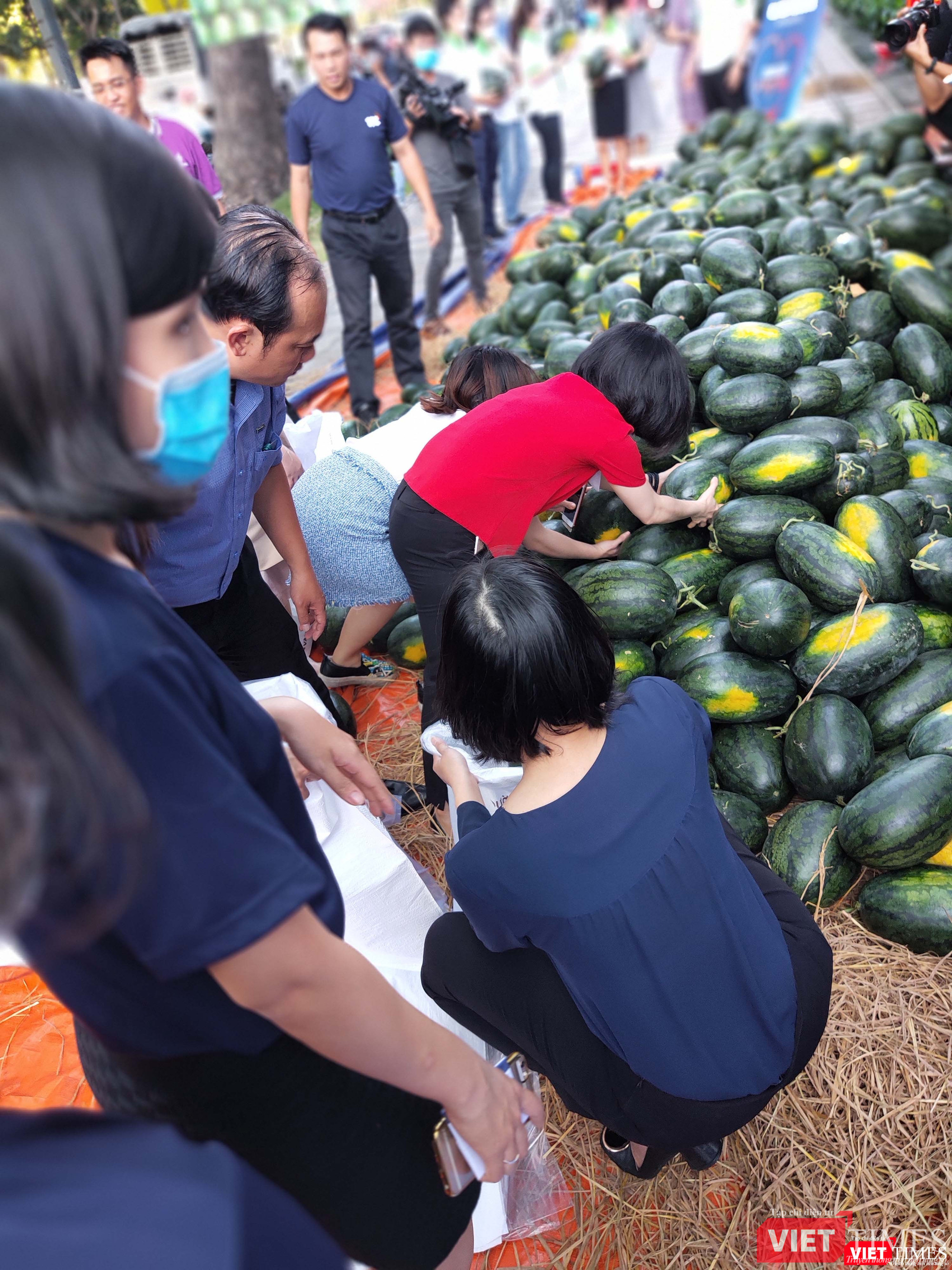 Toàn bộ 20 tấn dưa hấu được tiêu thụ hết ngay trong chiều 11/2 