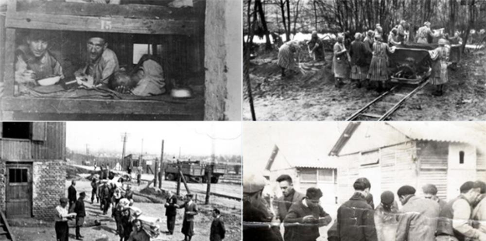 Tại tập trung người nhập cư ở Mỹ bị so sánh với trại giam của Đức Quốc xã (ảnh Twitter)