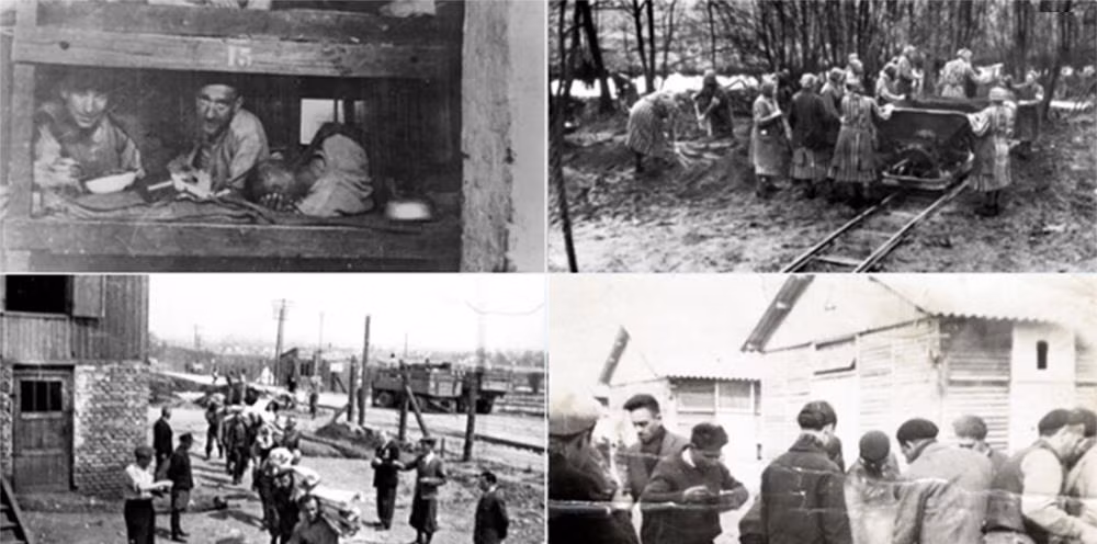 Tại tập trung người nhập cư ở Mỹ bị so sánh với trại giam của Đức Quốc xã (ảnh Twitter)