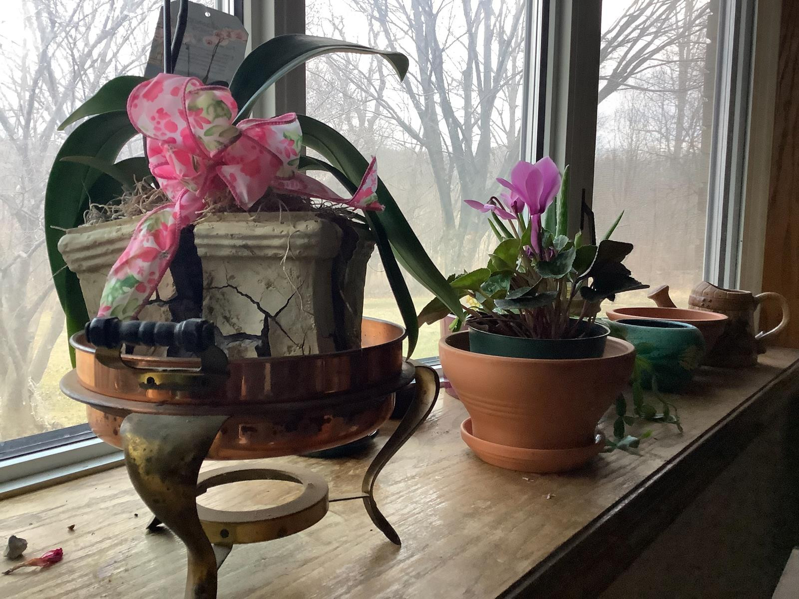 ảnh: Phone Arena ảnh: Phone Arena