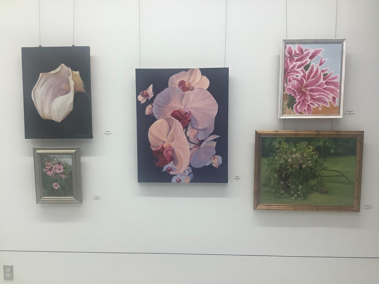 ảnh: Phone Arena ảnh: Phone Arena