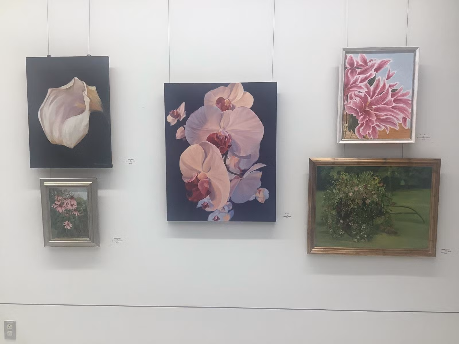 ảnh: Phone Arena ảnh: Phone Arena