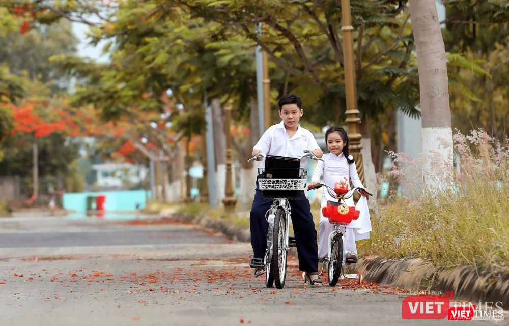 Những khoảnh khắc đáng yêu, mơ mộng trên con đường ngập cánh phượng đỏ